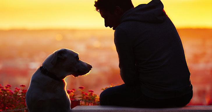 Loyal And Friendship With Dog