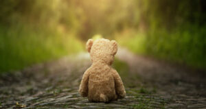 Lonely Teddy Bear