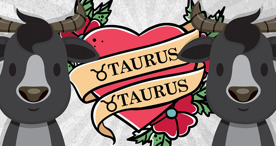 Taurus and Taurus love compatibility